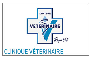 Clinique Vétérinaire